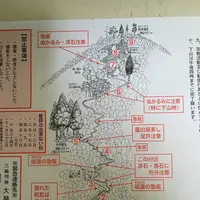 狭井神社の写真・動画_image_278309