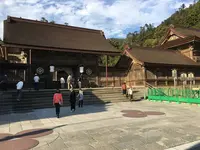 出雲大社の写真・動画_image_278313