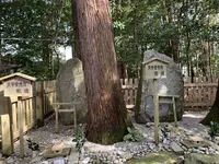 佐那神社の写真・動画_image_278348