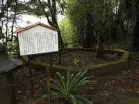 木花神社の写真・動画_image_278405
