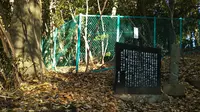 伊勢山自然公園の写真・動画_image_278677