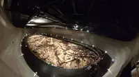 地底の森ミュージアムの写真・動画_image_278925
