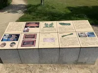 国指定史跡 藤ノ木古墳の写真・動画_image_278941