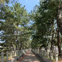 法隆寺の写真・動画_image_278957