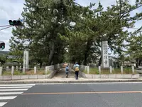 法隆寺の写真・動画_image_278964