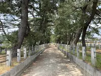 法隆寺の写真・動画_image_278966