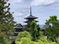 法隆寺西円堂の写真・動画_image_278976