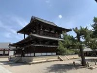 法隆寺 金堂の写真・動画_image_278981