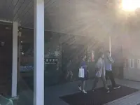 松島海岸の写真・動画_image_279107