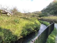 松島海岸の写真・動画_image_279110