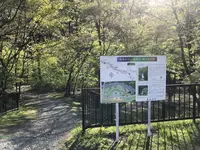 松島海岸の写真・動画_image_279111