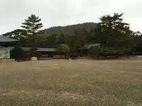 橿原神宮の写真・動画_image_279303