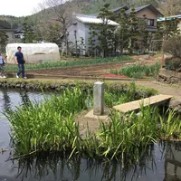 忍野八海の写真・動画_image_279487