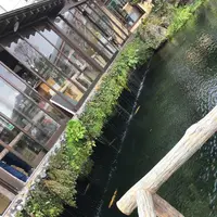忍野八海の写真・動画_image_279490