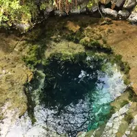 忍野八海の写真・動画_image_279492