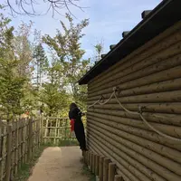忍野 しのびの里の写真・動画_image_279500