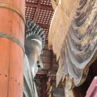 東大寺の写真・動画_image_279662
