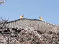 東大寺の写真・動画_image_279666