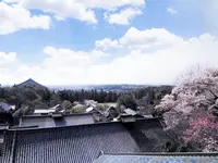 東大寺二月堂の写真・動画_image_279671