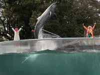 新屋島水族館の写真・動画_image_279964