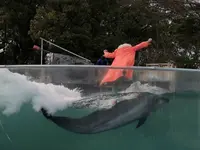 新屋島水族館の写真・動画_image_279970