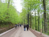 Schloss Neuschwanstein（ノイシュヴァンシュタイン城）の写真・動画_image_280019
