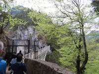 Schloss Neuschwanstein（ノイシュヴァンシュタイン城）の写真・動画_image_280022