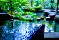 武家屋敷跡 野村家の写真・動画_image_280141