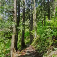 阿弥陀ヶ滝の写真・動画_image_280166