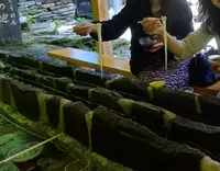 あみだが滝荘流しそうめんの写真・動画_image_280172