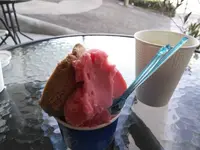 Scio’scio’ショーショーの写真・動画_image_280263