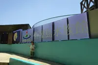 屋島展望台の写真・動画_image_280293