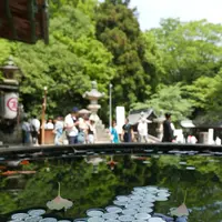 金刀比羅宮（こんぴらさん）の写真・動画_image_280301