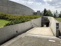 地底の森ミュージアムの写真・動画_image_280545