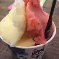 ハスキージェラート 戸越店の写真・動画_image_281087