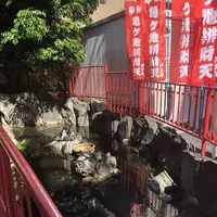 亀ケ池弁財天の写真・動画_image_281173