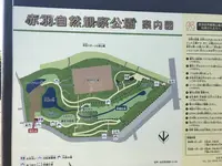 赤羽自然観察公園の写真・動画_image_281187