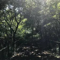 赤羽自然観察公園の写真・動画_image_281190