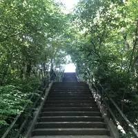 赤羽自然観察公園の写真・動画_image_281191