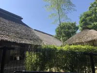 赤羽自然観察公園の写真・動画_image_281192