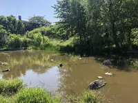赤羽自然観察公園の写真・動画_image_281193