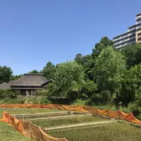 赤羽自然観察公園の写真・動画_image_281194
