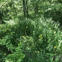 赤羽自然観察公園の写真・動画_image_281195