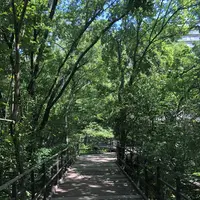 赤羽自然観察公園の写真・動画_image_281196