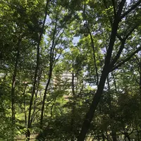 赤羽自然観察公園の写真・動画_image_281198