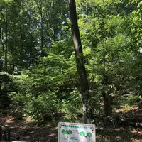 赤羽自然観察公園の写真・動画_image_281199