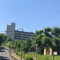 赤羽自然観察公園の写真・動画_image_281200