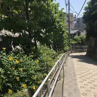 稲付城跡の写真・動画_image_281216