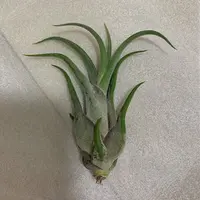 カリモク６０名古屋ラシック店の写真・動画_image_281275
