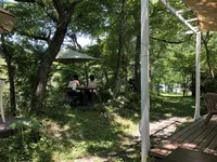 cafe Karinの写真・動画_image_281329
